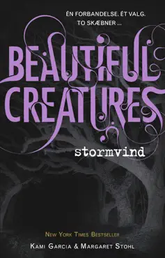 stormvind book cover image