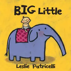 big little book cover image