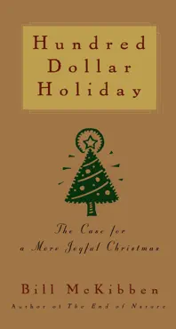 hundred dollar holiday book cover image