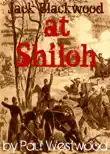 At Shiloh sinopsis y comentarios