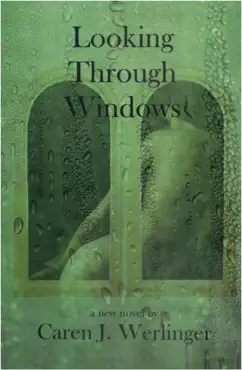 looking through windows book cover image