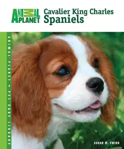 cavalier king charles spaniels book cover image