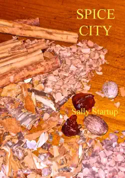 spice city book cover image