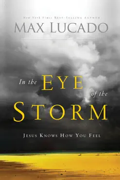 in the eye of the storm book cover image