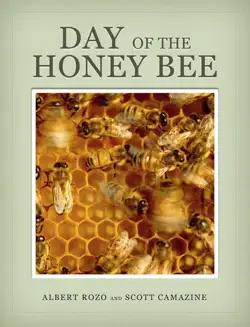 day of the honey bee book cover image