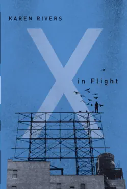 x in flight book cover image