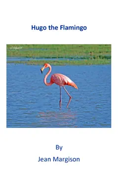 hugo the flamingo book cover image