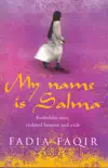 My Name Is Salma sinopsis y comentarios