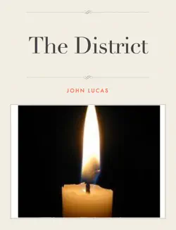 the district book cover image