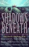 Shadows Beneath book summary, reviews and downlod