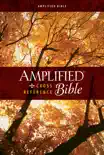 Amplified Cross-Reference Bible synopsis, comments