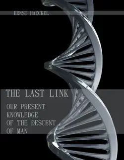the last link book cover image