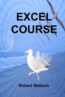 excel course book cover image