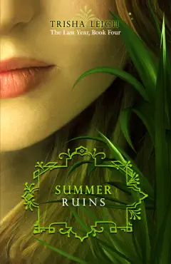 summer ruins book cover image