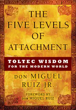 the five levels of attachment book cover image