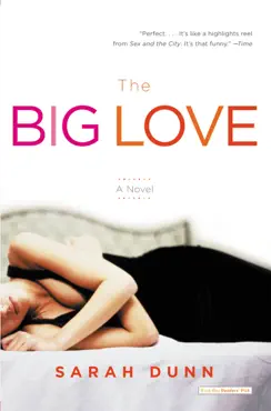 the big love book cover image