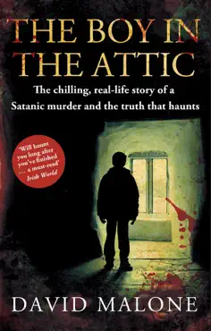 the boy in the attic book cover image
