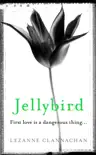 Jellybird sinopsis y comentarios