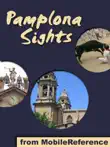 Pamplona Sights sinopsis y comentarios