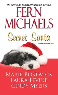 secret santa book cover image