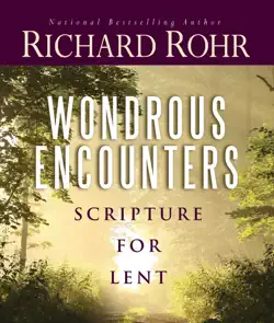 wondrous encounters book cover image
