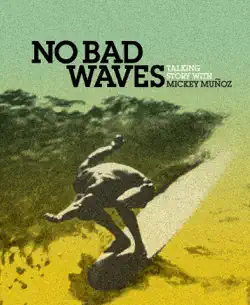 no bad waves book cover image