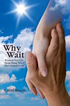 why wait book cover image