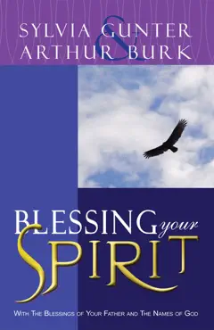 blessing your spirit book cover image