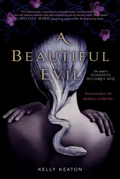 a beautiful evil book cover image