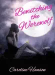 Bewitching the Werewolf sinopsis y comentarios