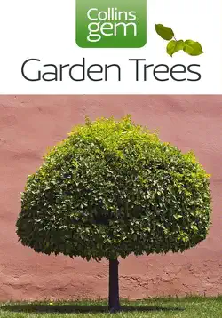 garden trees book cover image