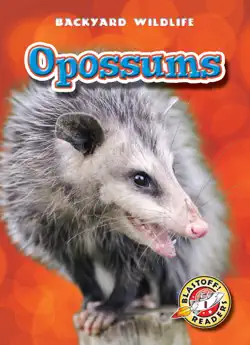 opossums book cover image