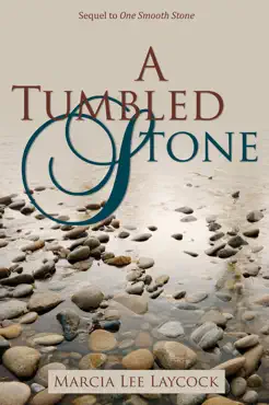 a tumbled stone book cover image