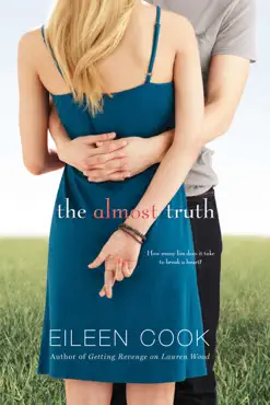 the almost truth book cover image