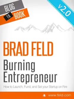 burning entrepreneur book cover image