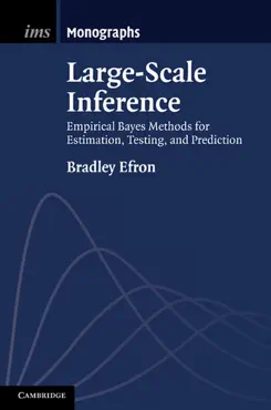 large-scale inference book cover image