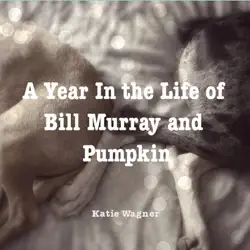a year in the life of bill murray and pumpkin book cover image