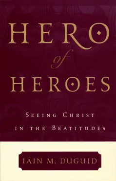 hero of heroes book cover image