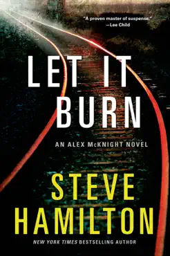let it burn book cover image