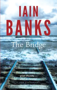 the bridge imagen de la portada del libro