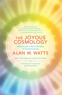 the joyous cosmology book cover image