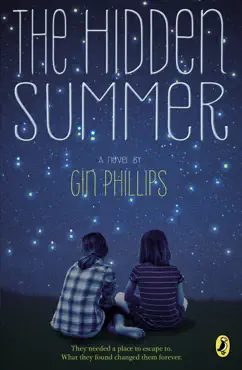 the hidden summer book cover image