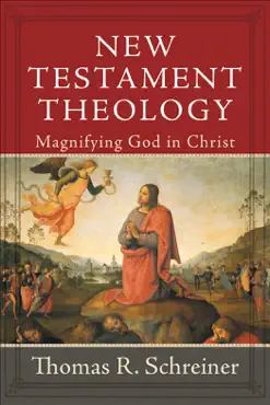 new testament theology book cover image