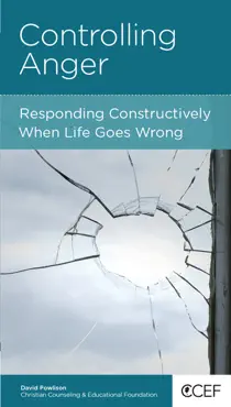 controlling anger book cover image