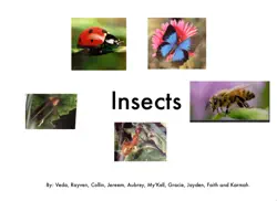 insects book cover image