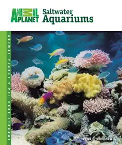 saltwater aquariums book cover image