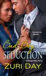 Bad Boy Seduction synopsis, comments