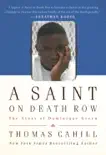 A Saint on Death Row synopsis, comments