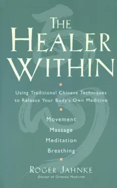 the healer within book cover image