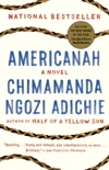 Americanah book summary, reviews and download